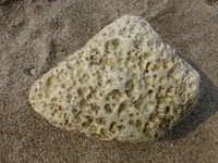 P1020311.webp
