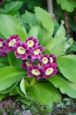 DSC_0712.webp