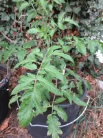 K1600_IMG_0208.webp