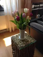 Tulpen.webp