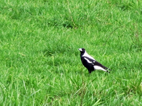 Copy of IMG_0113.webp
