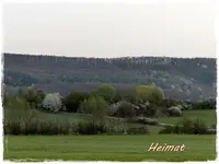 Frühling der Natur (3).webp