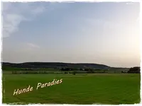 Hundeparadies.webp