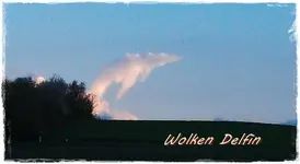 Himmelsdelfin.webp