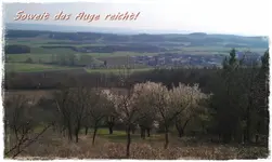 Weiherde (1).webp