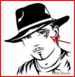 dfgerg.webp