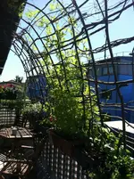 Balkon2.webp