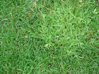 DSC00126.webp