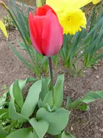 P1010456.webp