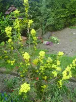 PICT0008.webp