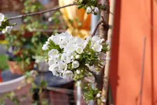 DSC_9994.2.webp
