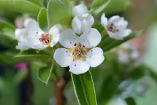 DSC_9988.2.webp