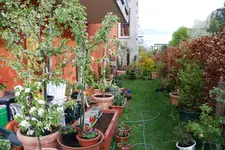 DSC_0054.2.webp