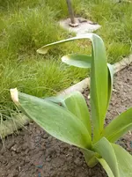 CAM01151.webp