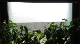 SAM_2733.webp