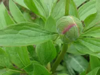 017_1024x768.webp