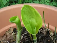 020_1024x768.webp