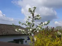 P1070821.webp