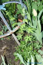 comp_DSC01067.webp
