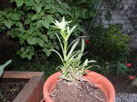 DSC01160.webp