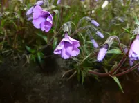 P1120016.webp