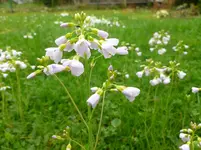 P1120021.webp