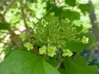 P1030141.webp