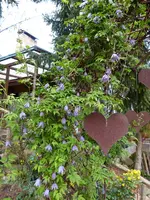 10.04 (4).webp