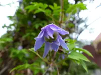10.04 (6).webp