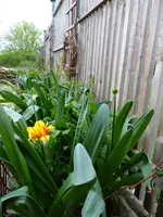 10.04 (22).webp