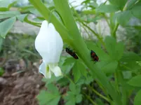 P1030311.webp