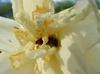 P1030306.webp