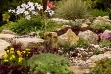 Stg 14-04-07-1649.webp