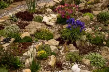 Stg 14-04-07-1651.webp