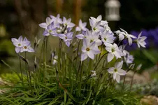 Stg 14-04-07-1637.webp