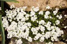 Stg 14-04-11-1675.webp