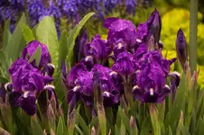 Stg 14-04-11-1676.webp