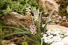 Stg 14-04-11-1677.webp