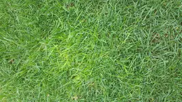 2014-04-11 13.54.57.webp