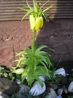 april 108.webp