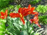 PICT0002.webp