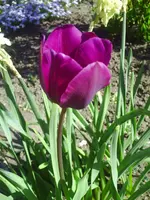 PICT0011.webp