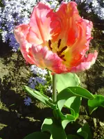 PICT0014.webp