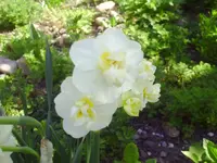PICT0018.webp