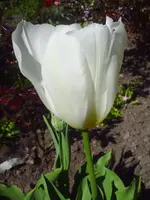 PICT0023.webp