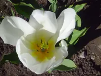 PICT0024.webp