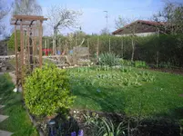 april 006.webp