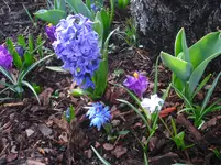 april 032.webp