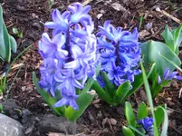 april 036.webp