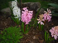 april 139.webp